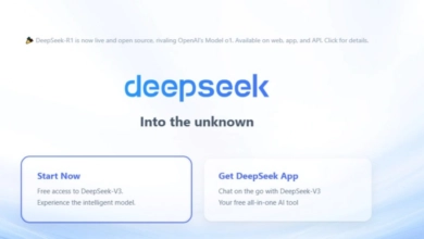 DeepSeek IA.